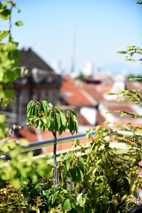 Zagreb Rooftops Extérieur photo